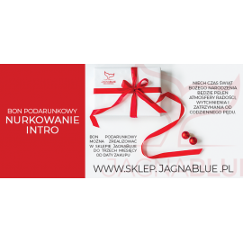 Bon Podarunkowy nurkowanie wprowadzające - intro