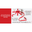 Bon Podarunkowy nurkowanie wprowadzające - intro