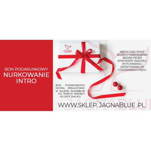 Bon Podarunkowy nurkowanie wprowadzające - intro